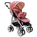 2006 Flyer Single Stroller in Bloom