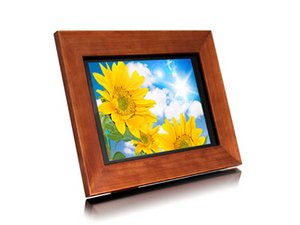 Aluratek 11-Inch Hi-Res Digital Photo Frame (1 GB SD Card Included)