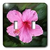 Flowers - Pink Hibiscus - Light Switch Covers - double toggle switch