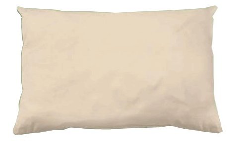 Naturepedic Organic Cotton Pillow - Junior