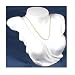 White Neck Necklace Chain Pendant Bust Jewelry Display