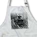 Scenes from the Past Vintage Stereoview - Always Take A Horse You Can Drive With One Hand Grayscale - Aprons