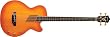 Washburn Acoustic/Electric Series AB40VSK Acoustic-Electric Bass