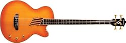 Washburn Acoustic/Electric Series AB40VSK Acoustic-Electric Bass