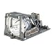 Electrified DP-2000LAMP Replacement Lamp with Housing for Kodak Projectors