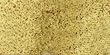 Florentine Gold Glitter (Martha Stewart)