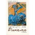 "Getanzte Liebe Flamenco"