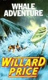 Whale adventure