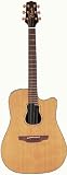 Takamine GB7C Garth Brooks Signature Model Acoustic-Electric Guitar