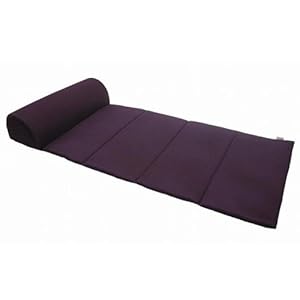 【クリックで詳細表示】ポップメッシュ ごろ寝マット DF-48440GN パープル 6427aj