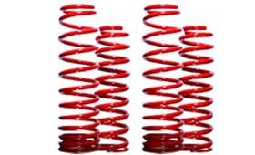 B&G Springs Lowering Kit for 1998 - 2006 Chevy Camaro