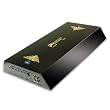 PERFORMANCE TEKNIQUE ICBM-2400 2400 WATTS MONOBLOCK AMPLIFIER