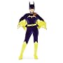 Gotham Girls DC Comics Batgirl Adult Costume