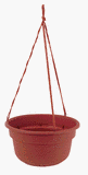 Hanging Planter