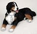 Bernese Mountain Dog Figurine - MyDog