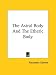 The Astral Body And The Etheric Body
