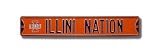 ILLINOIS FIGHTING ILLINI ILLINI NATION w/Block I logo AUTHENTIC METAL STREET SIGN (6 X 36)
