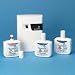 TimeMist Programmable Metered Nonaerosol Dispenser. Battery operated. White, wall mounting screws. EA