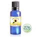 317ETRBlJTL. SL75  Anti Cellulite Treatment