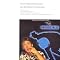 Chronological Macca - The Studio Albums