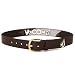 Volcom Next Day PVC Belt