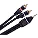 Electronics : Monster Cable JM REPC M HP-20 Computer Stereo Audio to Stereo Receiver Using Minijack-to-RCA Connection (20 ft.)