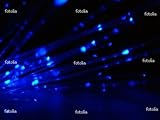 IMAGE OF 'Blue In The Night' Wall Decal - 24