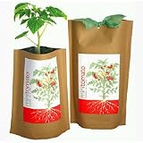 Garden in a Bag - Mini Tomato