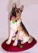 GERMAN SHEPHERD Holiday / Christmas Ornament Sandicast