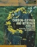 Carbon-Oxygen and Nitrogen Cycles: Respiration, Photosynthesis & Decomposition (Earth's Processes)