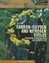 Carbon-Oxygen and Nitrogen Cycles: Respiration, Photosynthesis, and Decomposition (Heinemann Infosearch)