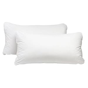 Pacific Coast Feather King Feather Pillows, Set of 2