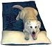 Comfort Pet Products Ortho Mat W Pillow 6 36x24 Inch - OCM-36-HR