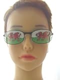 Wales Welsh Dragon Novelty Adults Glasses