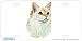 Red & White Shorthair Cat Art Print - License Plate Tag By Robert J. May From Airstrike