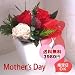 �y5/9�����w��z��ɑ���v���U�[�u�h�t�����[2009�@�G���K���g���[�Y�@�R���`�F���g�@���b�h���[�Y�@�P�[�X����y��̓��M�t�g�z�y�{�B�ɂ��͂����������z