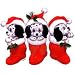 Dalmatians In Stockings-C Adult Sweatshirt