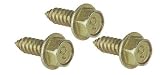 Moroso 90100 Wheel Rim Screws
