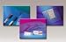 3M Comply Chemical Indicator Strips