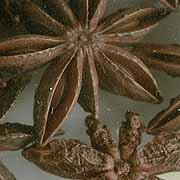 Star Anise By ChefShop.com by Essential Pantry