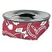 Sporting Goods : AFI 20025 Windproof Beanbag Ashtray (Red)