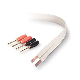 Click here to buy Belkin PureAV AV23000-30 30-Foot 15-Gauge Flat Speaker Cable and Pins by Belkin.