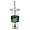 North Carolina Charlotte 49Ers