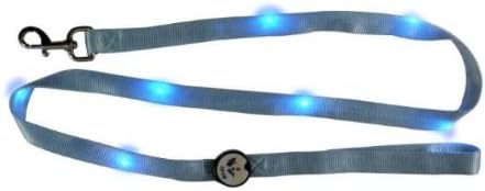 Durable, Lightweight LED Light Dog Leash, Blue, Size Medium