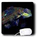 VWPics Underwater Reefs - Pair of mandarinfish, Synchiropus splendidus, mating, Malapascua ,Cebu, Philippines, Visayan Sea. - Mouse Pads