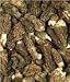 Morel Mushrooms 4 oz.