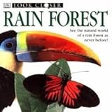 Rainforest