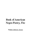Review IndyPublish.com  / The Book of American Negro Poetry
