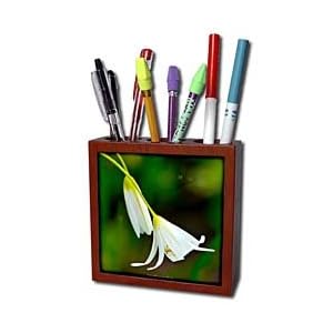 Lee Hiller Photography Hot Springs National Park Wildflowers - Wildflowers False Garlic - Tile Pen Holders-5 inch tile pen holder