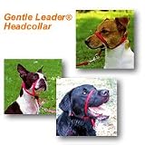 Gentle Leader Head Collar - Medium - Red